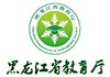 heilongjiang